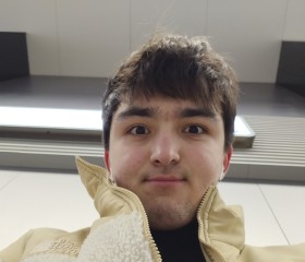 Ali, 21, Naaldwijk