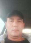 Xamid Nasimov, 43 года, Toshkent