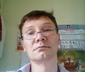 Альберт, 48 лет, Петрозаводск