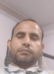 Nafis Saifi, 29 лет, Delhi