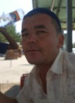 Мирзо, 39 лет, Toshkent
