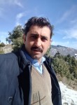 shafqatalam, 31 год, پشاور