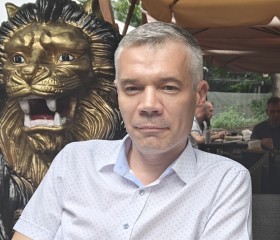 Сергей Косенко, 42 года, Москва
