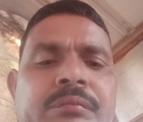 Dinesh Joshi, 49 лет, Vadodara