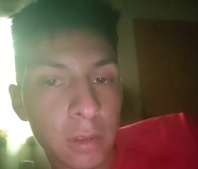 Carlos, 18, La Pintana