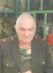 Александр Караев, 66 лет, Ростов-на-Дону