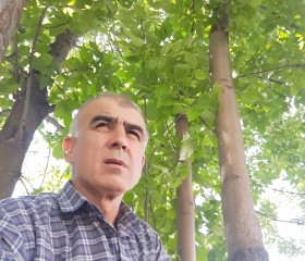 Бахадур, 50 лет, Москва