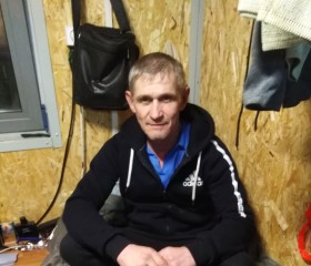 Антон, 50 лет, Ногинск
