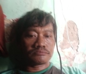 Harry, 47, Jakarta