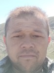 Aziz, 41 год, Toshkent