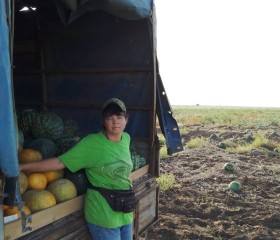 Ирина, 43 года, Камышин