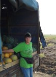 Ирина, 43 года, Камышин