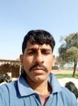 Vikash Kumar, 29 лет, Jaipur