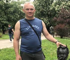 Владимир, 51 год, Бронницы