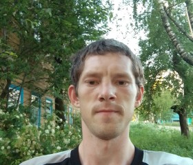 Николай, 28 лет, Луза