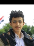 Ahmed, 21 год, صنعاء