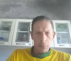 Marcio, 46 лет, São Paulo capital