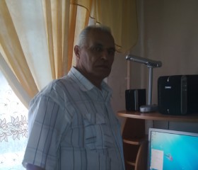 Анатолий, 75 лет, Йошкар-Ола