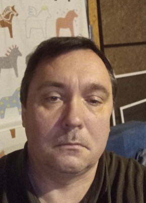 Anton, 45, Russia, Moscow