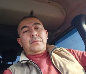 Пулат, 39 лет, Toshkent