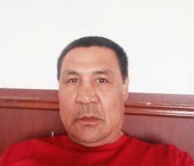 Жумагали, 49 лет, Шаян