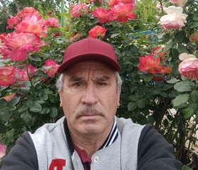 Arkadion, 65, Krasnodar