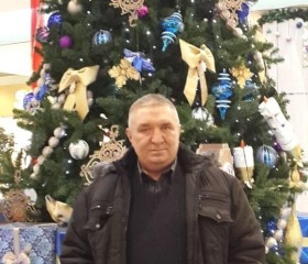 Анатолий, 60 лет, Новосибирск