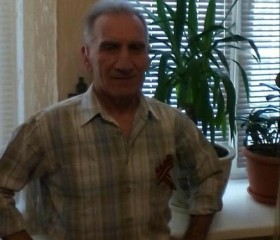 Николай, 69 лет, Самара