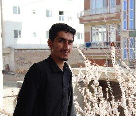 American, 19, Kabul