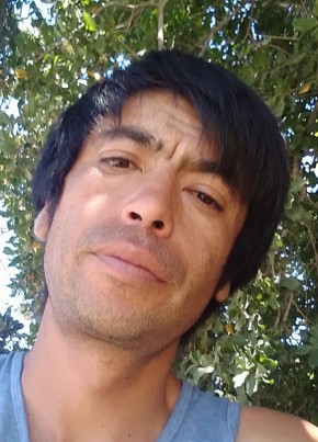 Jose, 33, República de Chile, Curicó