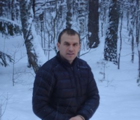 Александр, 42 года, Магілёў