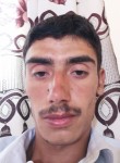 Mustafa , 26 лет, Van
