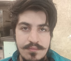 hamed, 29, Tehran