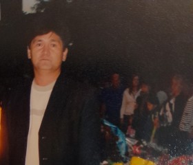Даулетхан Алтаев, 57 лет, Алматы