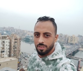 hossam, 33 года, المحلة الكبرى