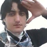 Zmarai, 35  , Ellicott City