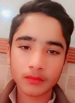Hamza, 18 лет, حافظ آباد