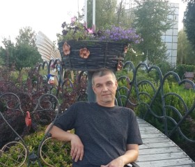 Дмитрий, 52 года, Радужный (Владимирская обл.)