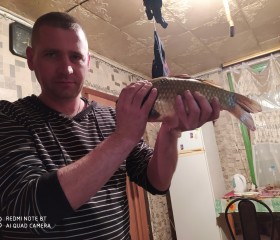 Роман, 36 лет, Новониколаевский
