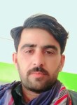 Malik, 26 лет, اسلام آباد