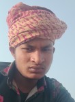 Dinesh, 33 года, Lucknow