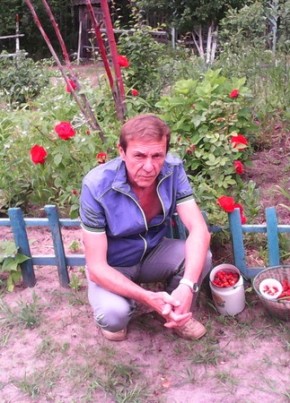 владимир, 65, Россия, Рославль