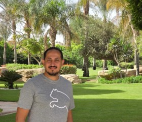 Ahmed, 35, Al Mansurah