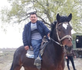 Zhamshid, 45, Noginsk