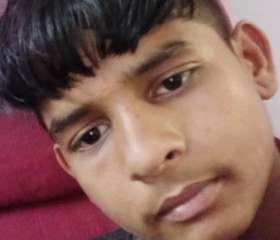 Sanjay chndrabha, 22 года, Nagpur