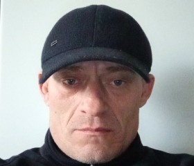 Владимир, 44 года, Кемерово