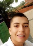alejandro, 26 лет, Pereira
