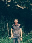Narek Mkrtchya, 29 лет, Արմավիր