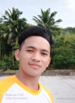Jhon mark, 29 лет, Cebu City