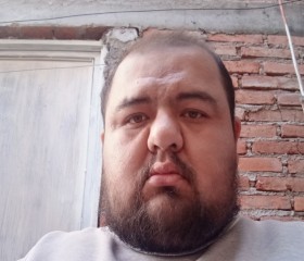 Omar Frausto, 35 лет, Villa García de la Cadena